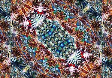 《最终幻想14》新一期制作人直播定于4月1日 讨论6.1版本内容